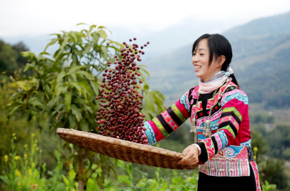 云南省文化和旅游厅