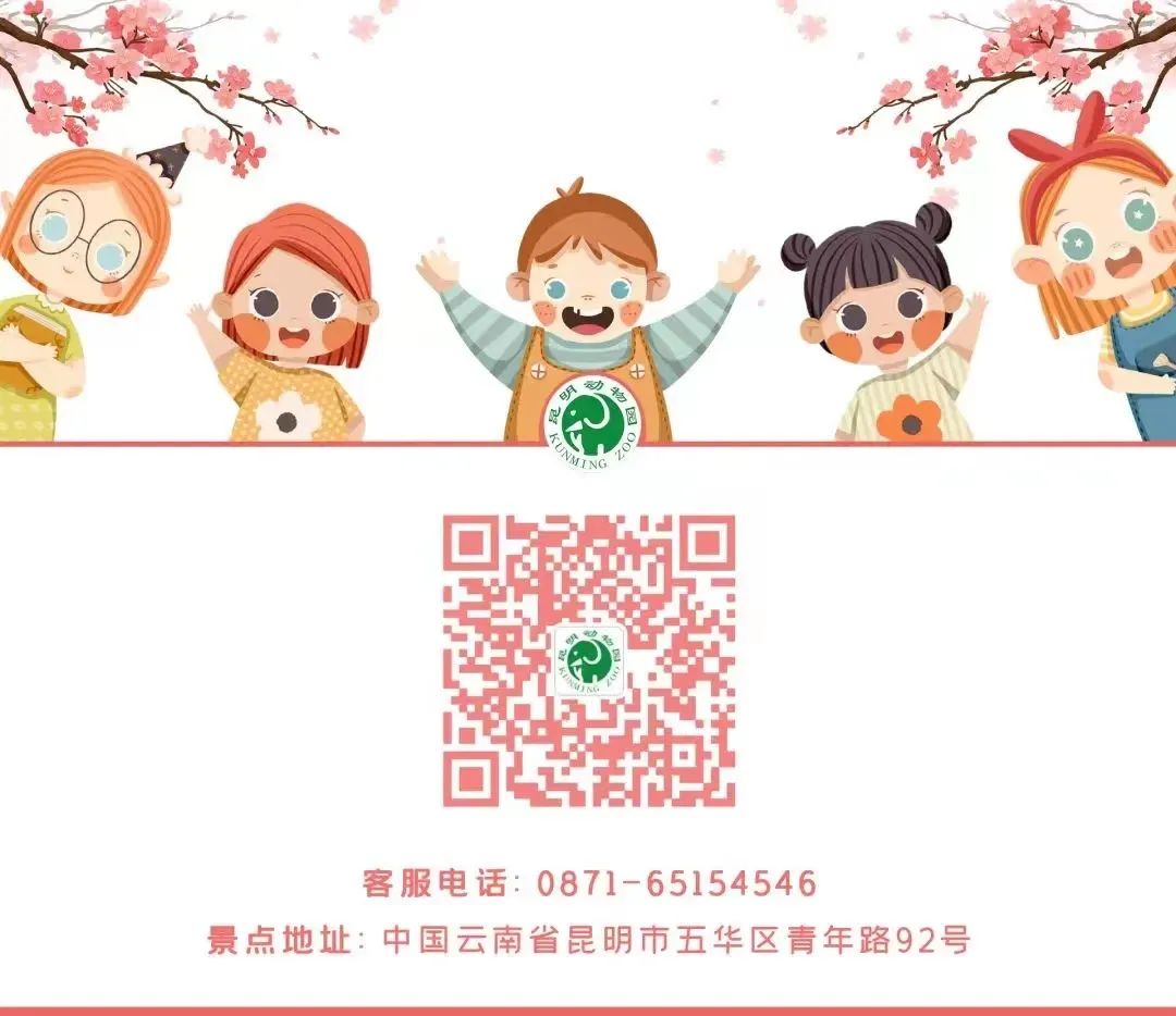 昆明动物园