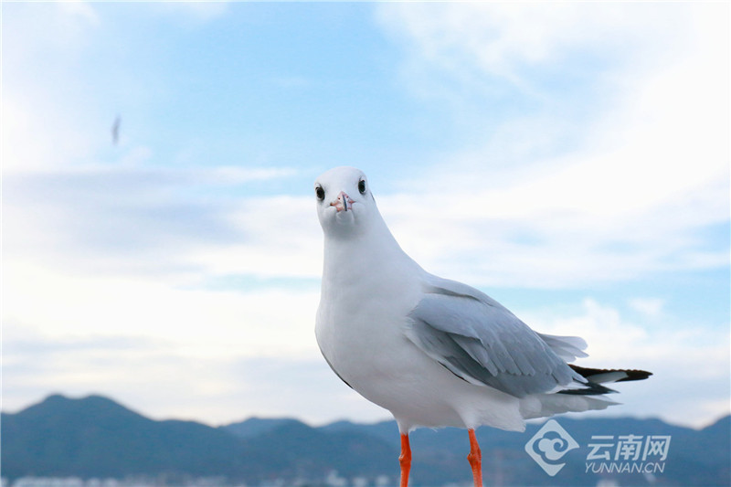 云南省文化和旅游厅