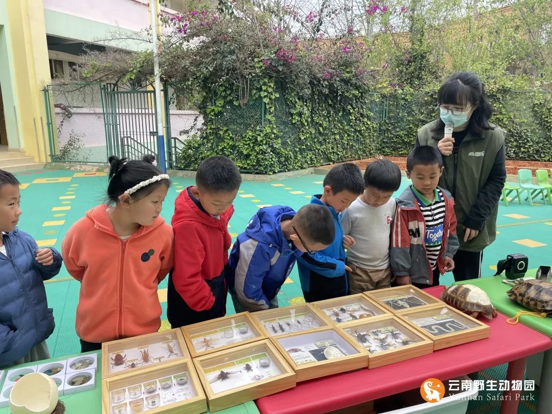 云南野生动物园