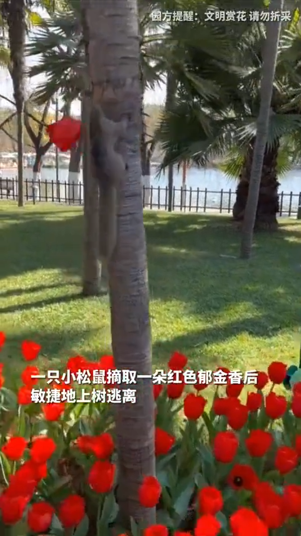 云南省文化和旅游厅