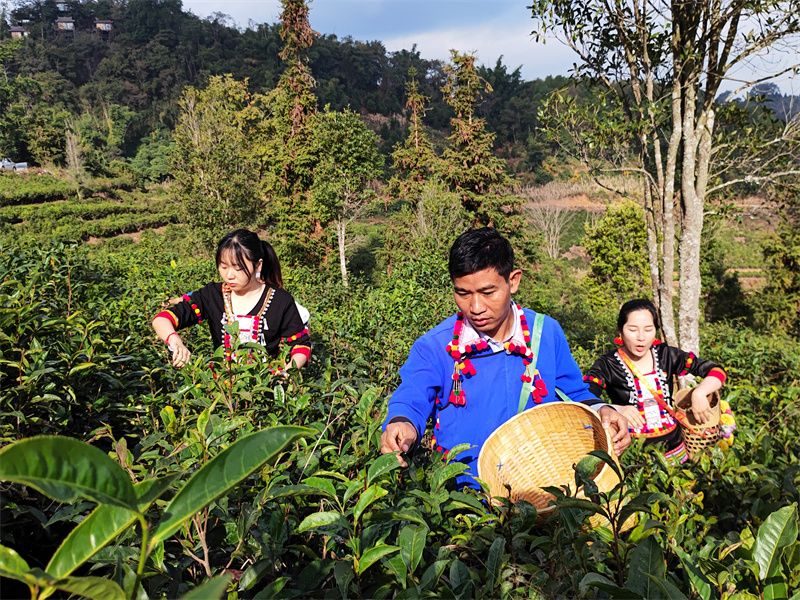 云南省文化和旅游厅