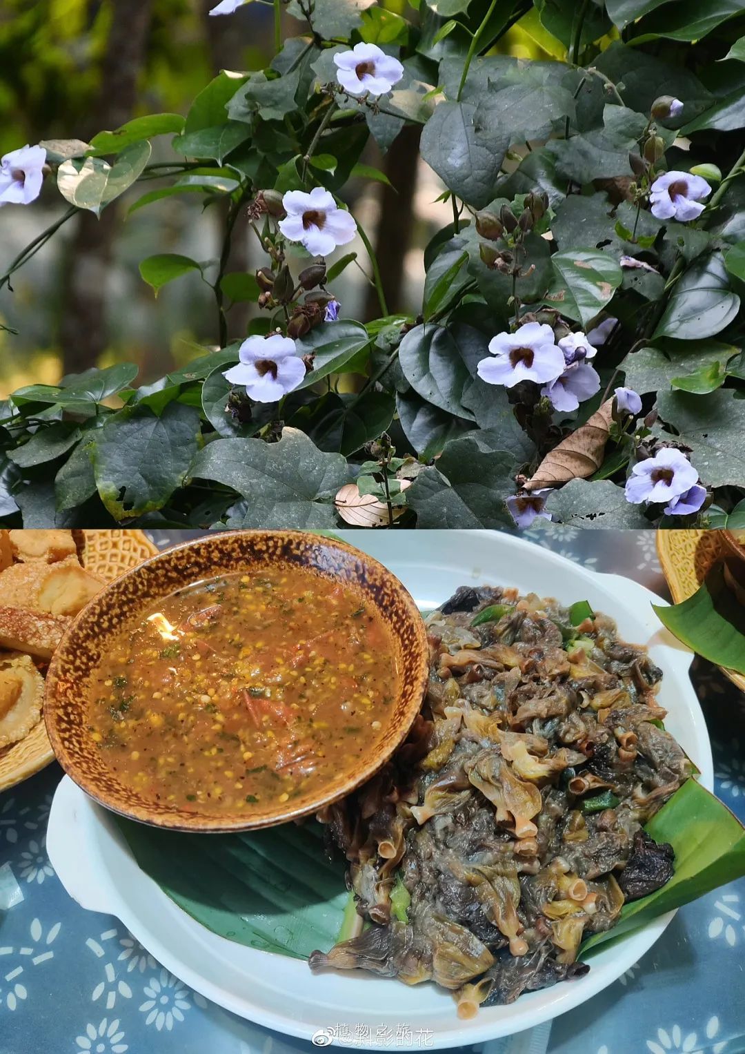 云南省文化和旅游厅