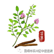 昆明市东川区中医医院