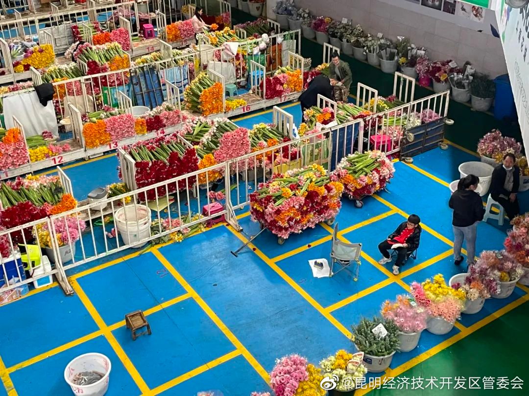 昆明经济技术开发区管委会