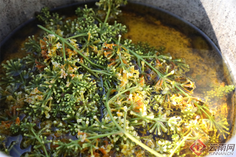 云南省文化和旅游厅