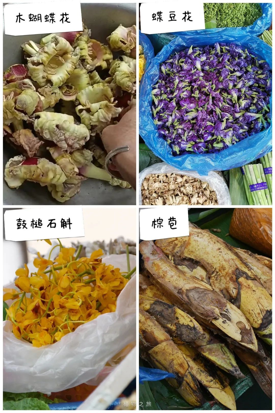 云南省文化和旅游厅