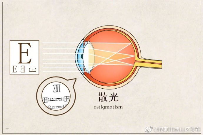 昆明市西山区发布