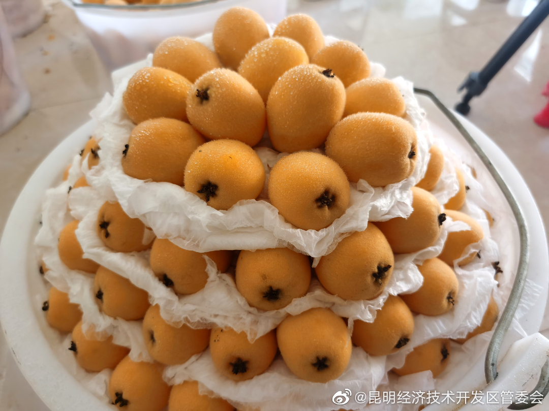 昆明经济技术开发区管委会