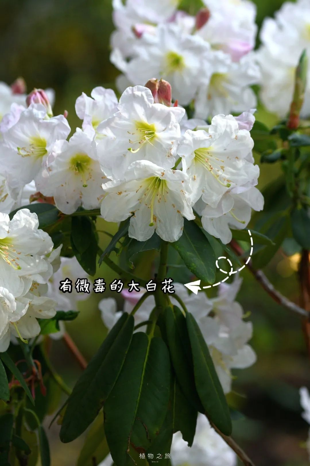 云南省文化和旅游厅