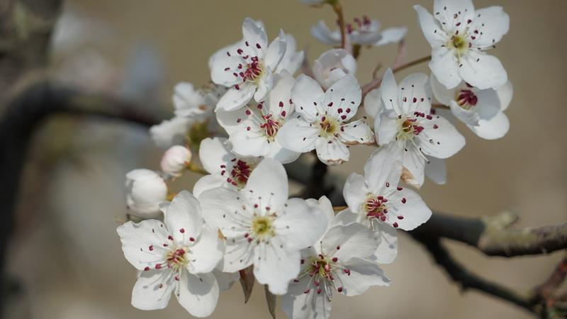 云南省文化和旅游厅