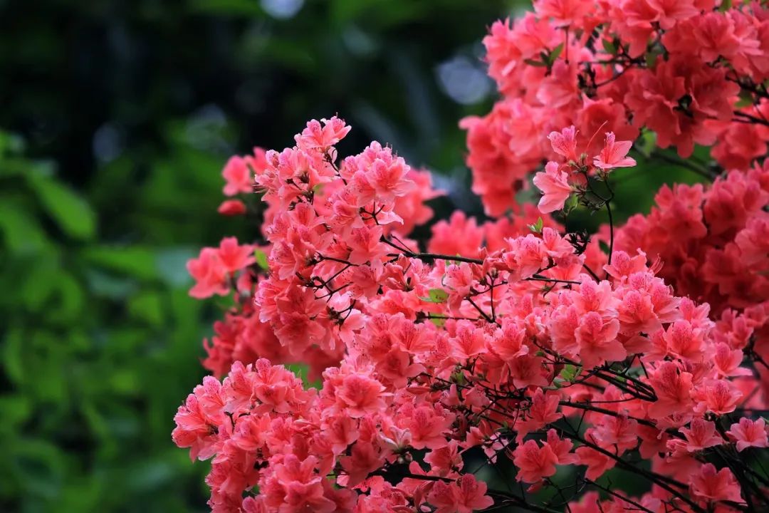 一部手机游云南