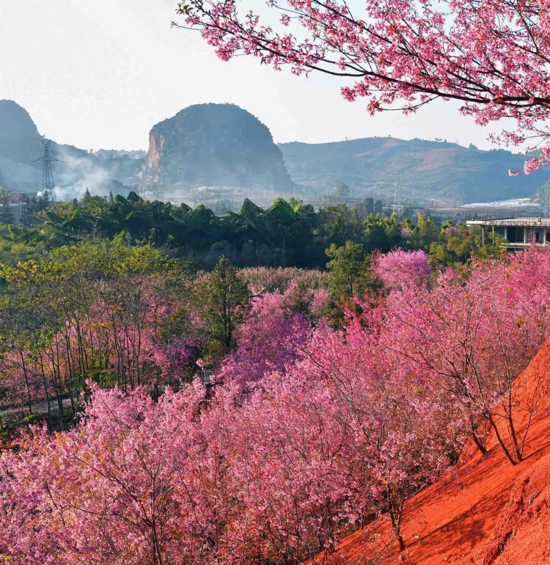 云南省文化和旅游厅