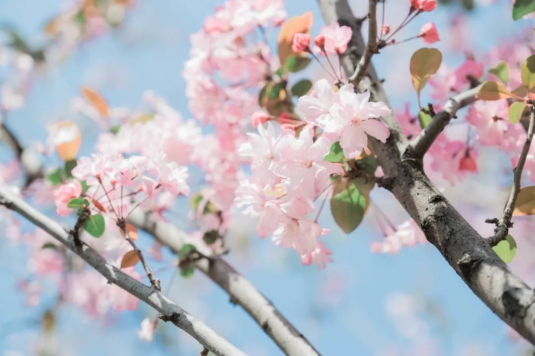 一部手机游云南