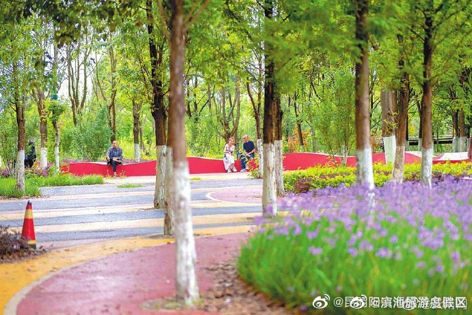 昆明市全力推进“城市公园”建设——点亮家门口的诗和远方