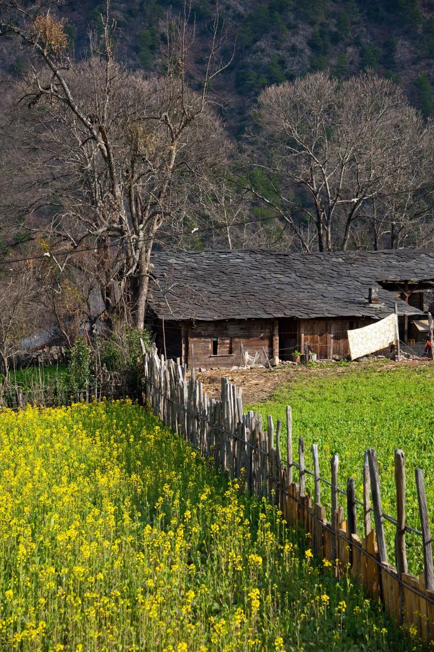 一部手机游云南