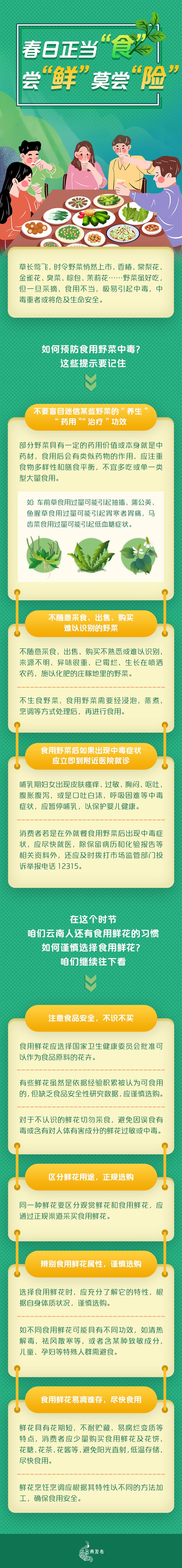 美丽云南微科普
