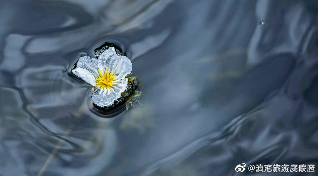 滇池旅游度假区