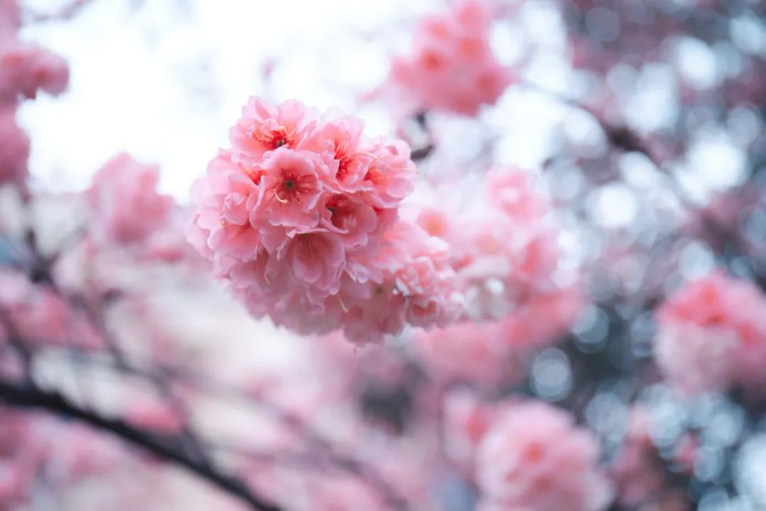 一部手机游云南