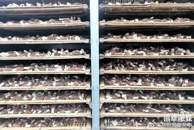 “昆明官渡发布”微博