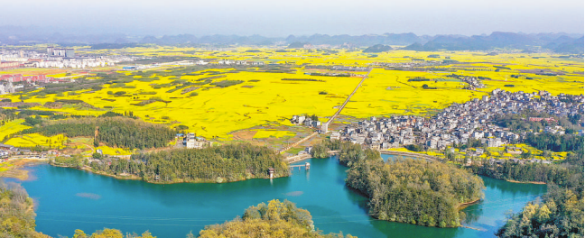 云南省文化和旅游厅