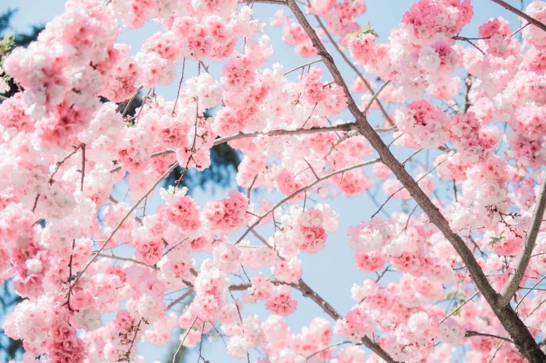 一部手机游云南