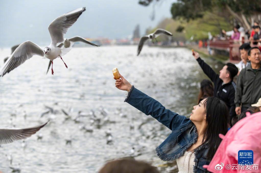 “云南发布”微博