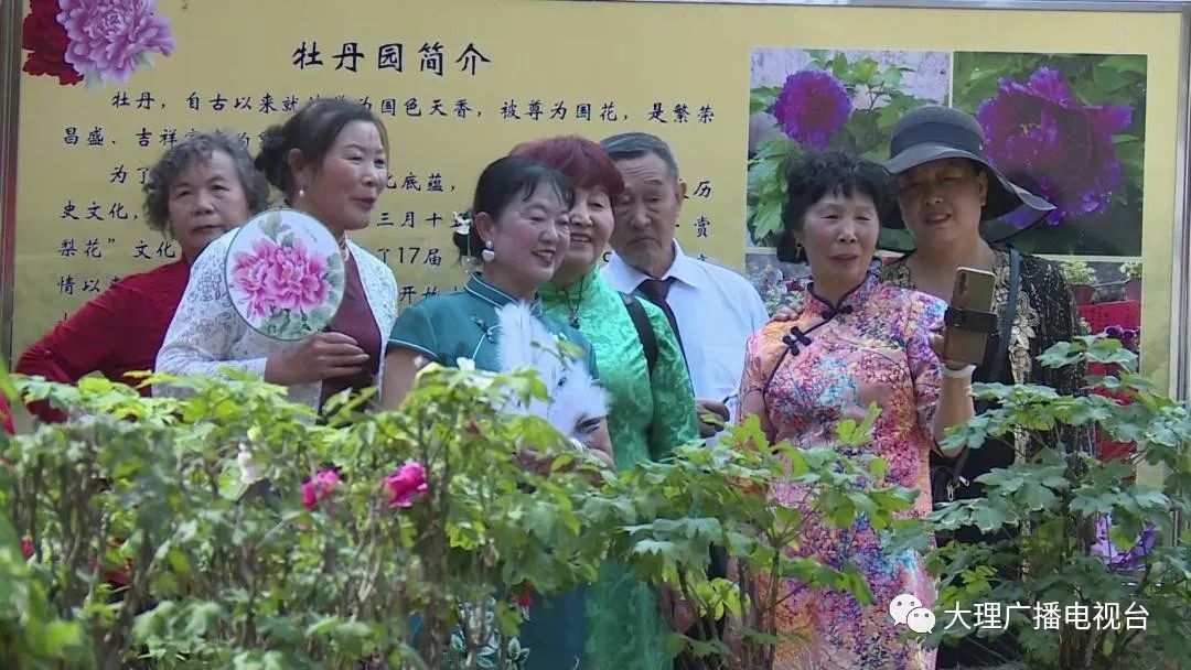 大理电视台