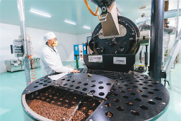 云南省文化和旅游厅