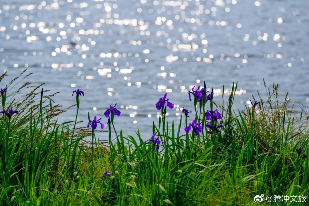腾冲文旅微博