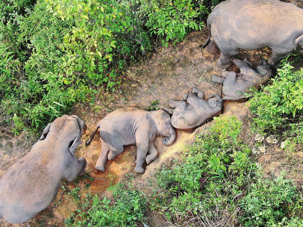 云南省文化和旅游厅