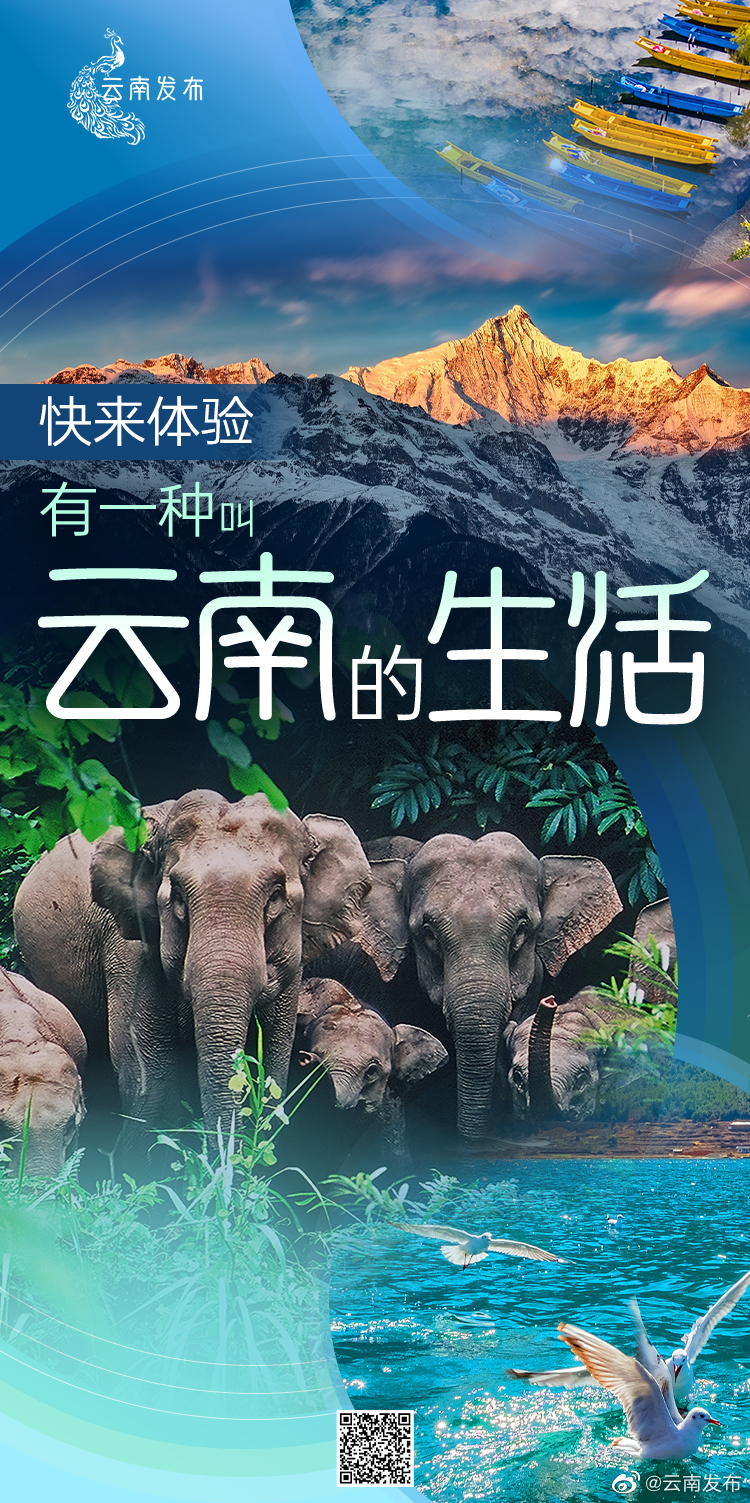 有一种叫云南的生活 是怎样的生活……