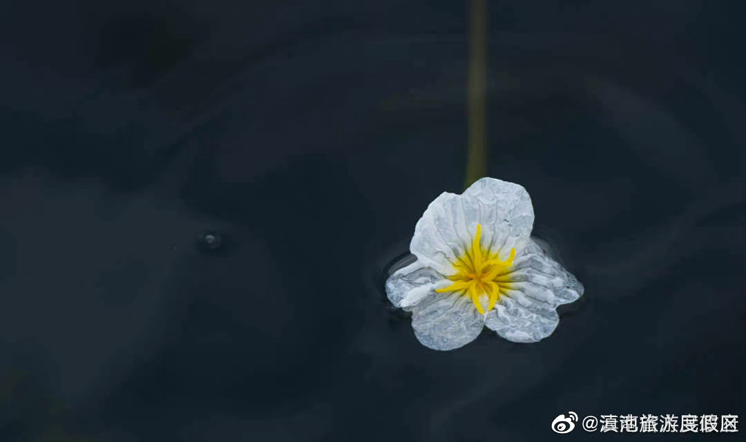 滇池旅游度假区