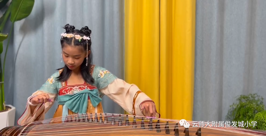 盘龙教育