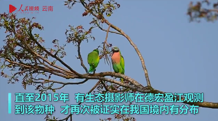 云南省文化和旅游厅