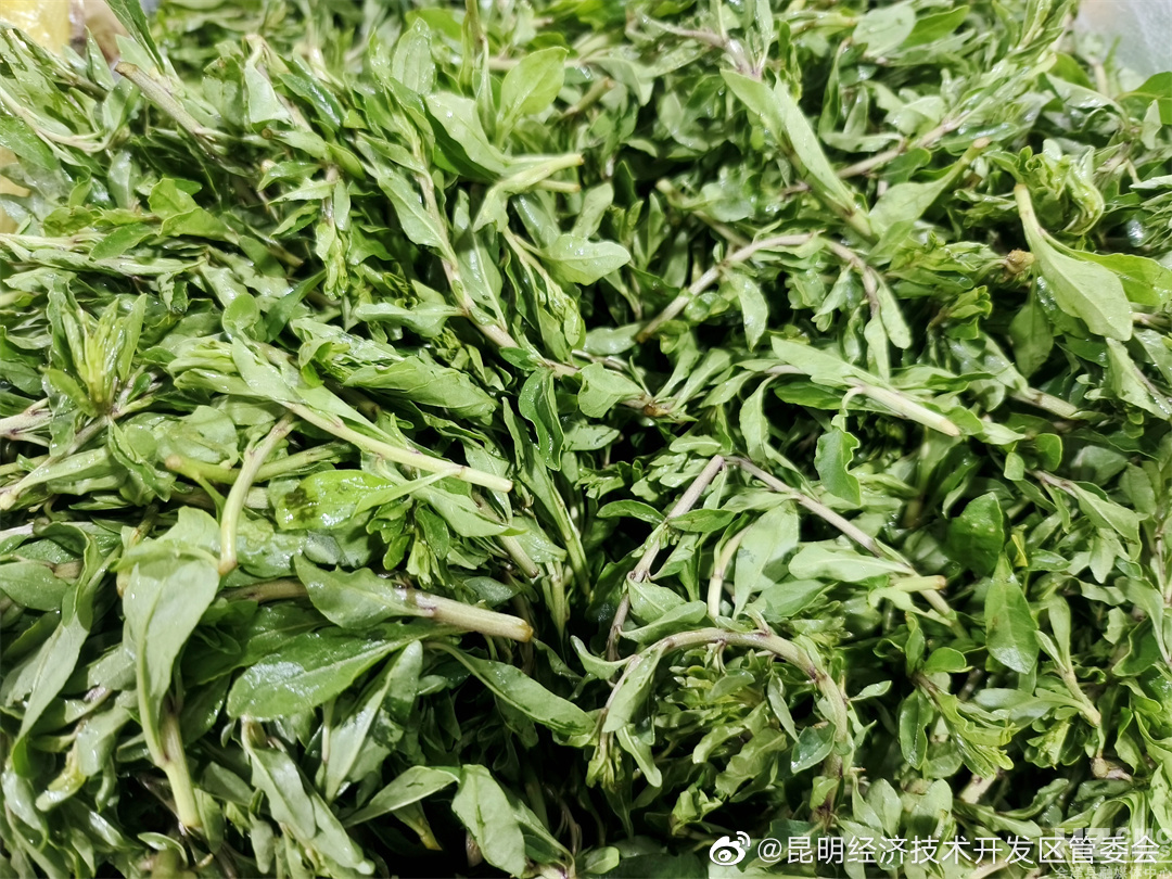 昆明经济技术开发区管委会