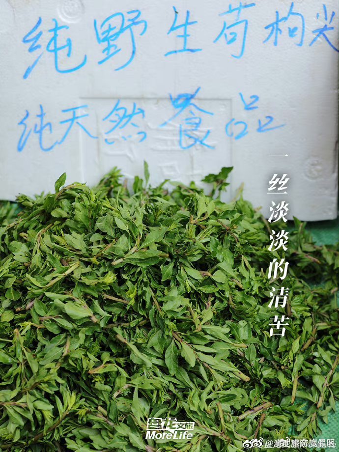 滇池旅游度假区