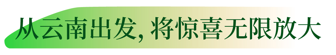 云南省文化和旅游厅