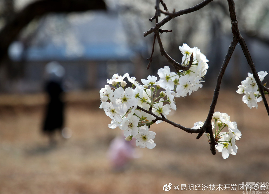 昆明经济技术开发区管委会