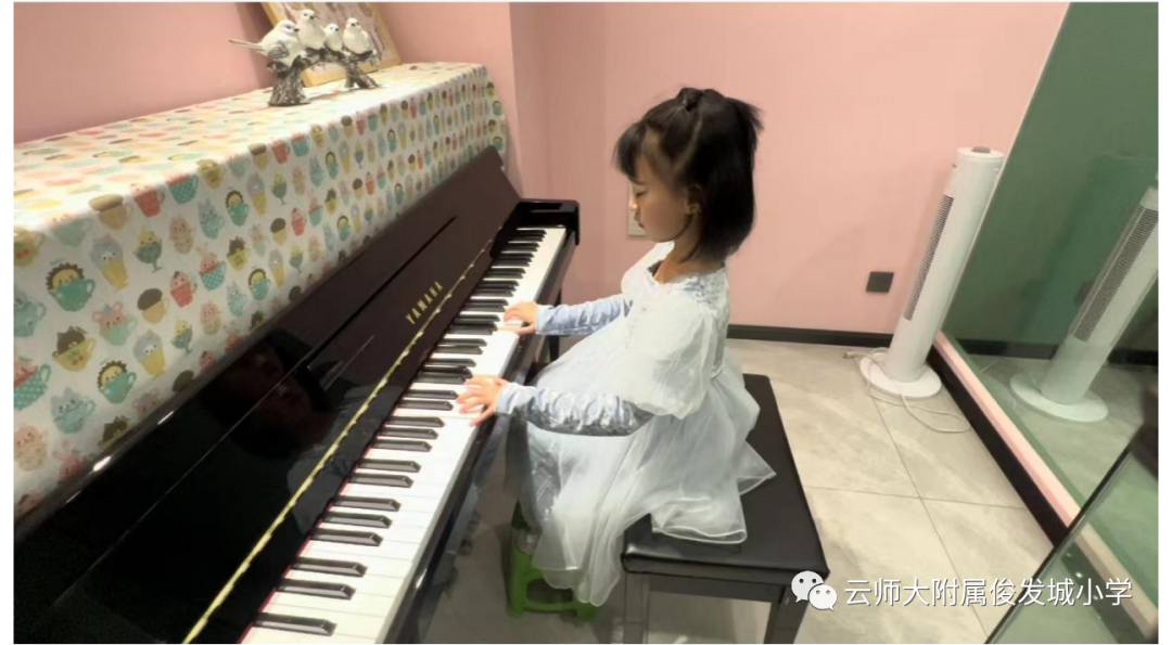 盘龙教育