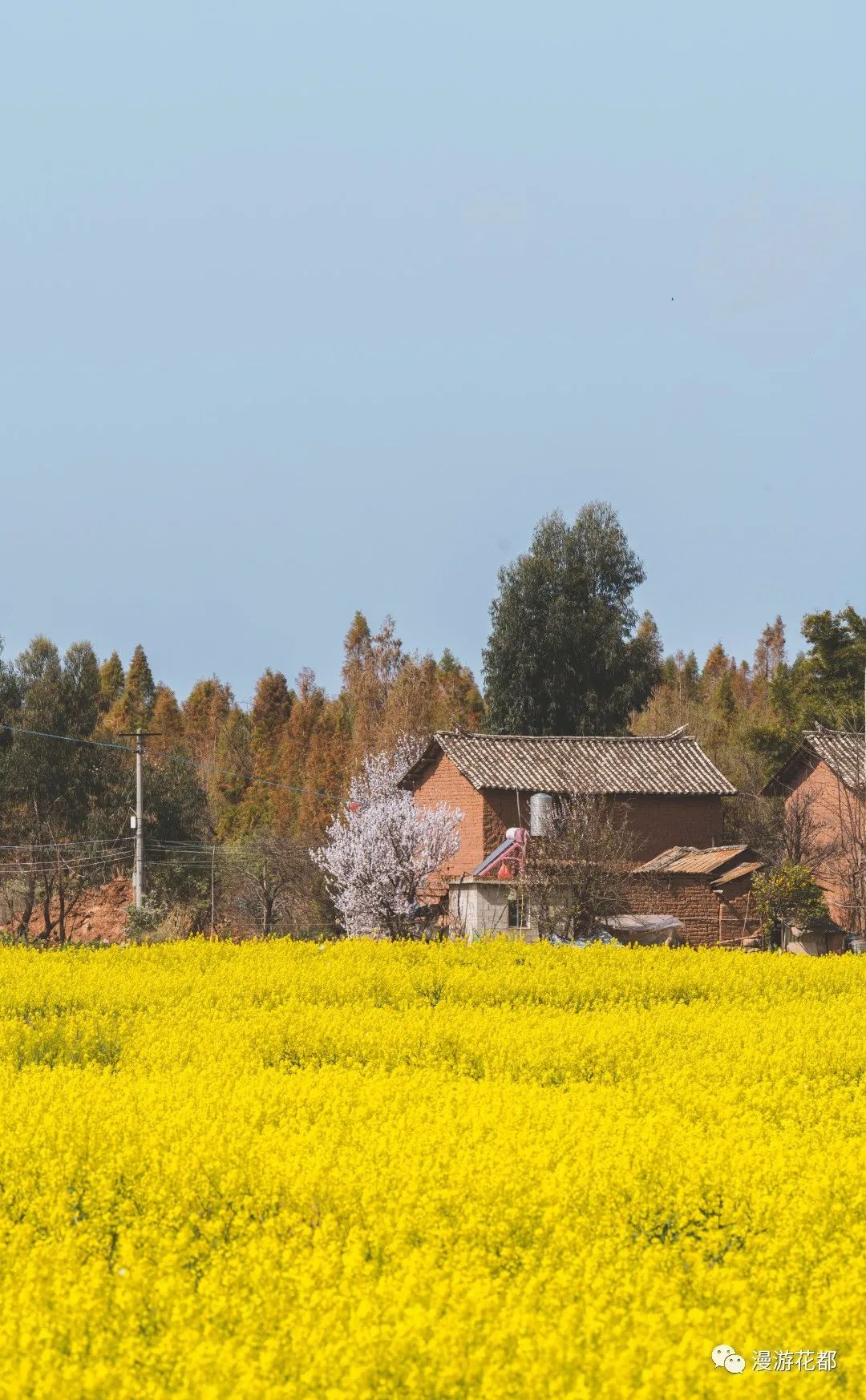 云南省文化和旅游厅