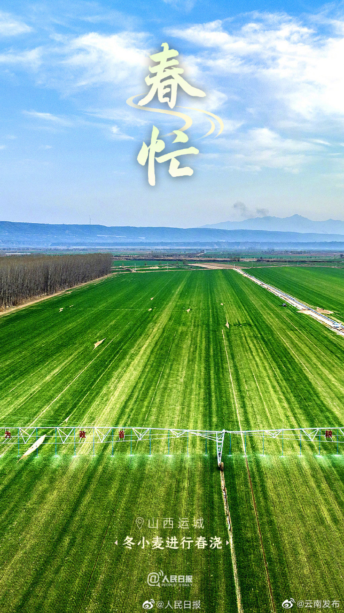 “云南发布”微博