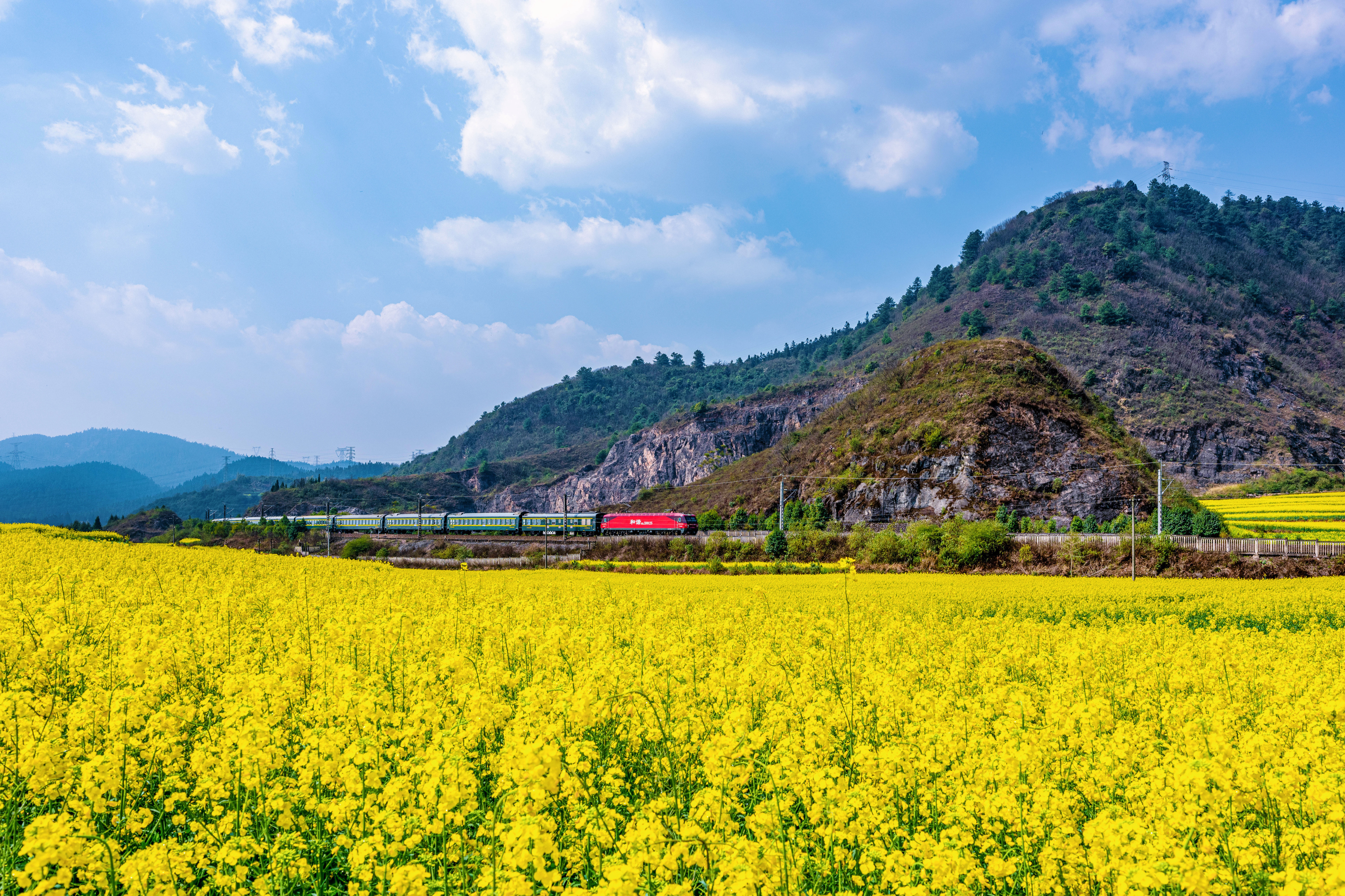 云南省文化和旅游厅