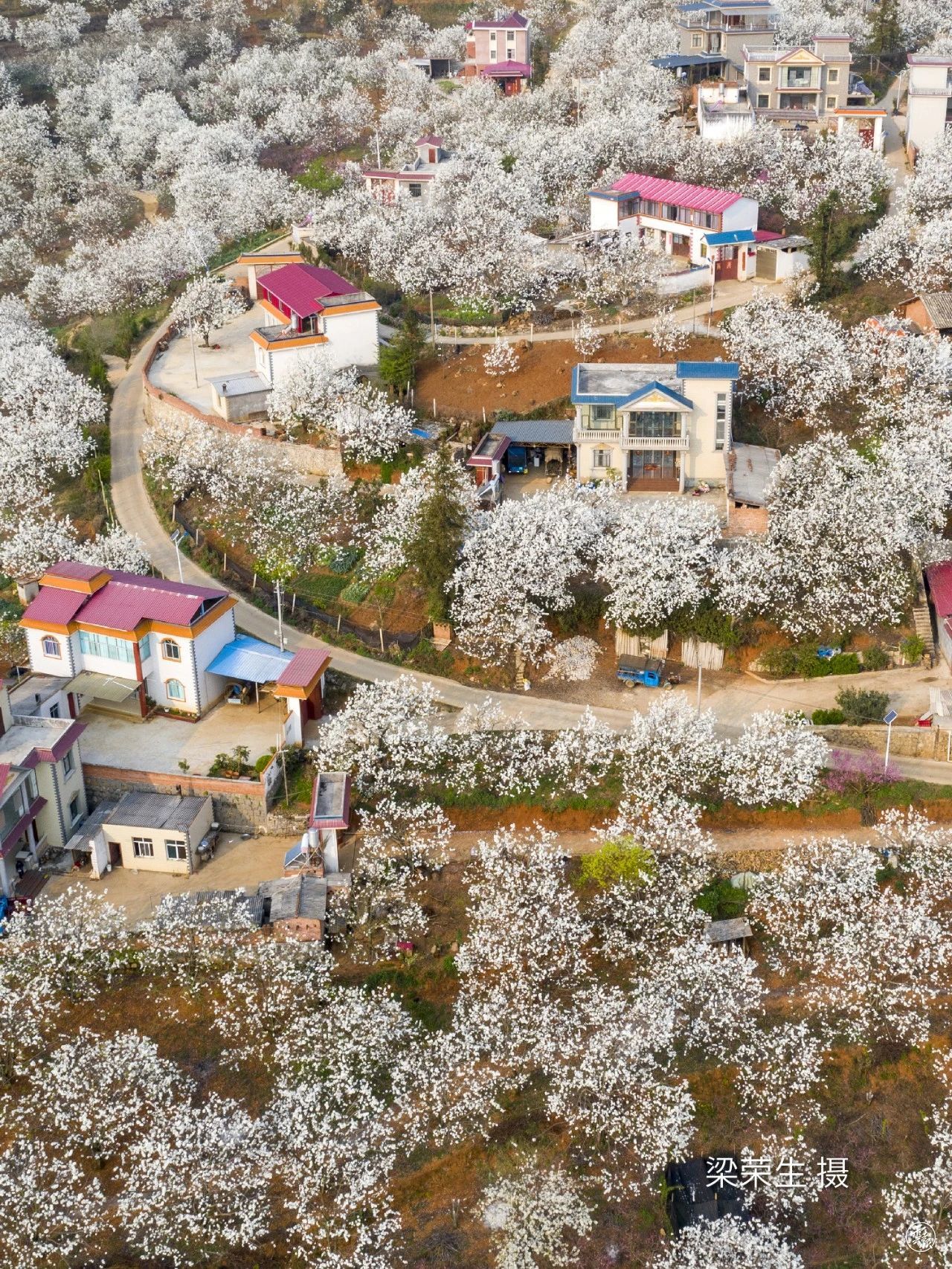 云南省文化和旅游厅