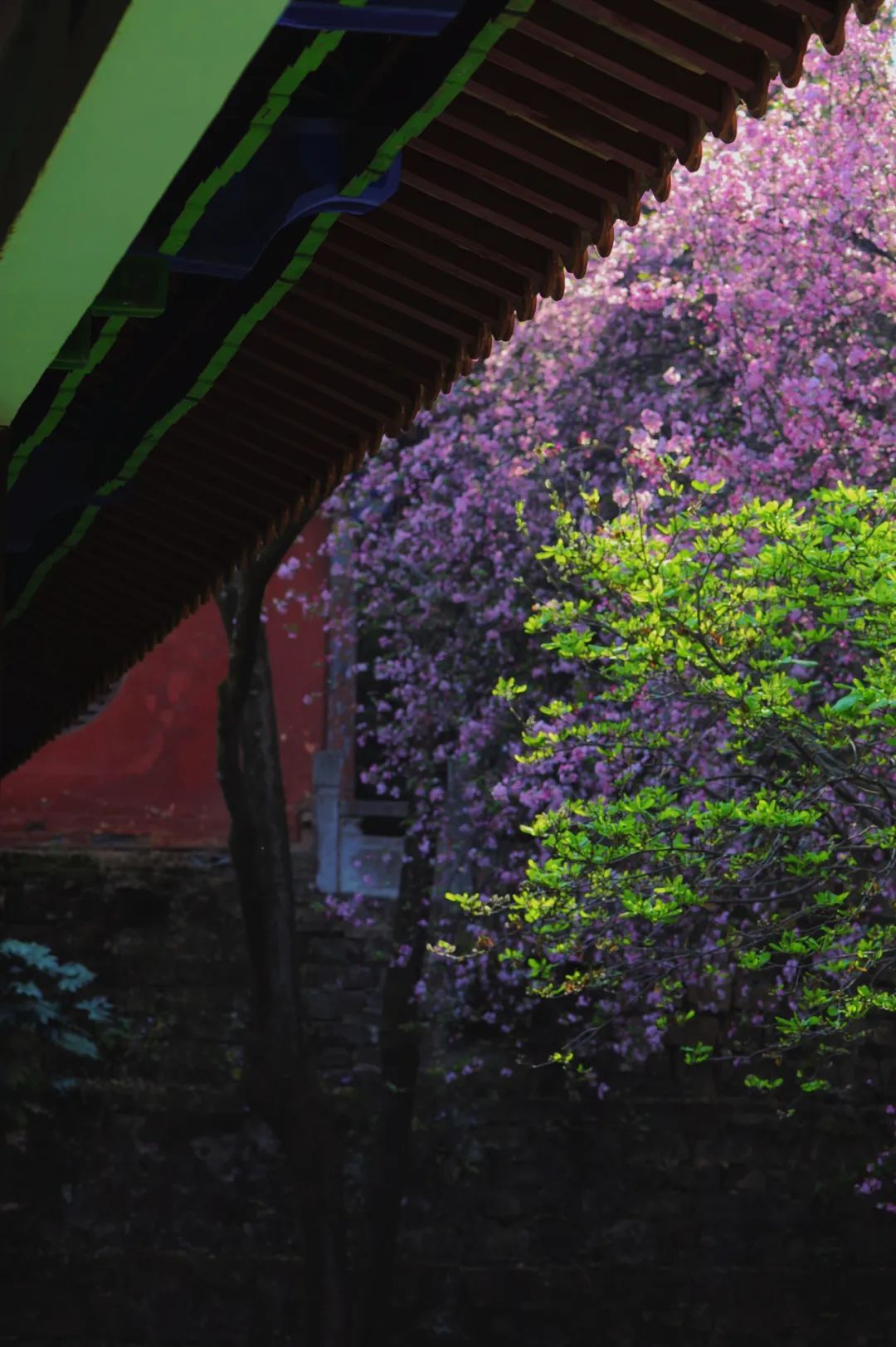 昆明市金殿名胜区