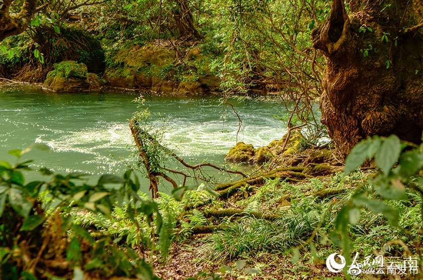 “云南发布”微博