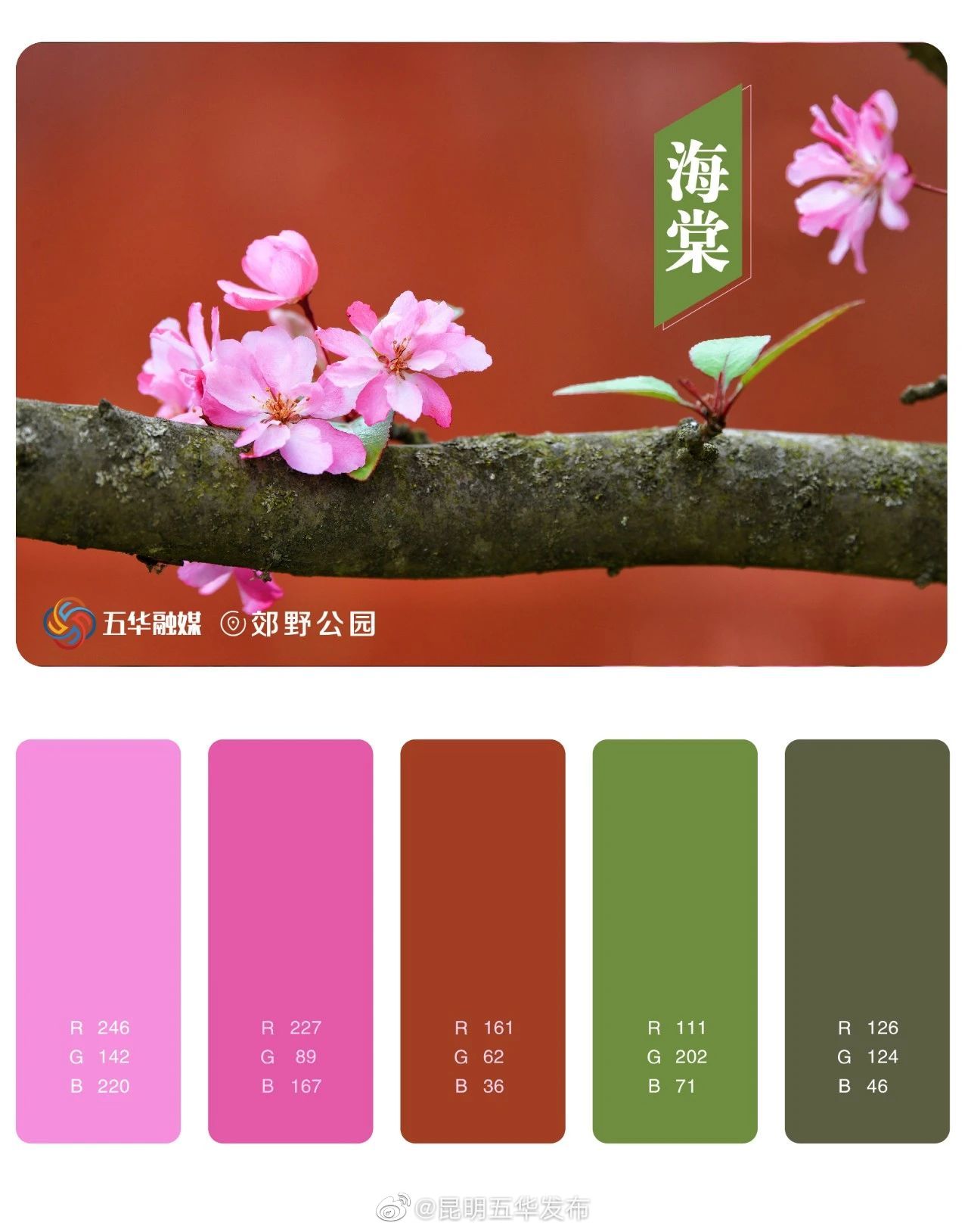 昆明五华发布
