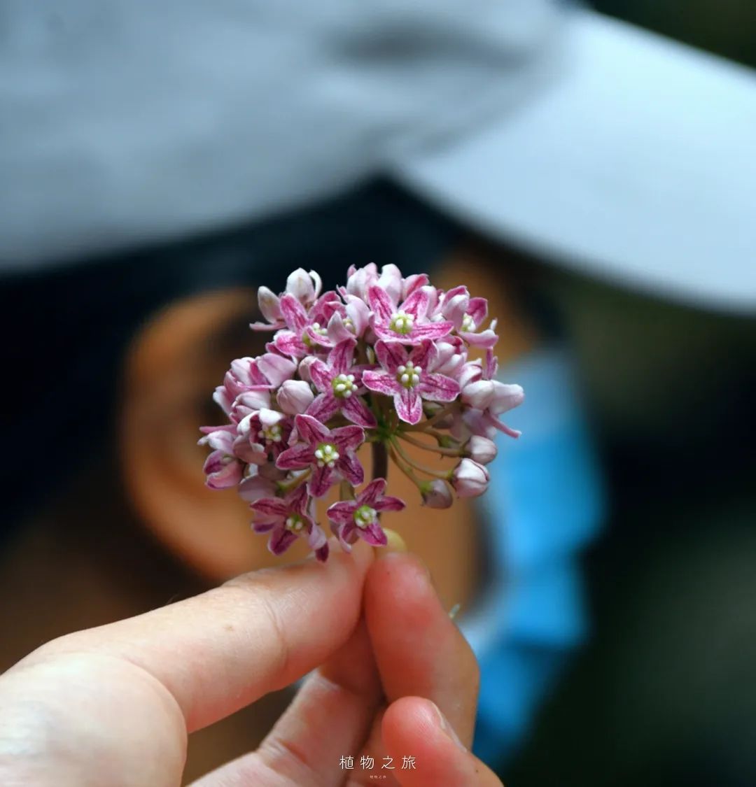 云南省文化和旅游厅