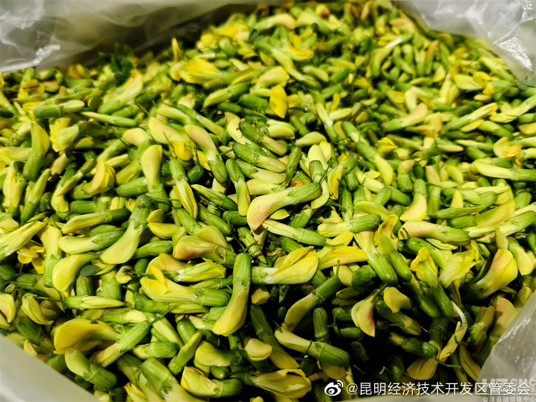 昆明经济技术开发区管委会