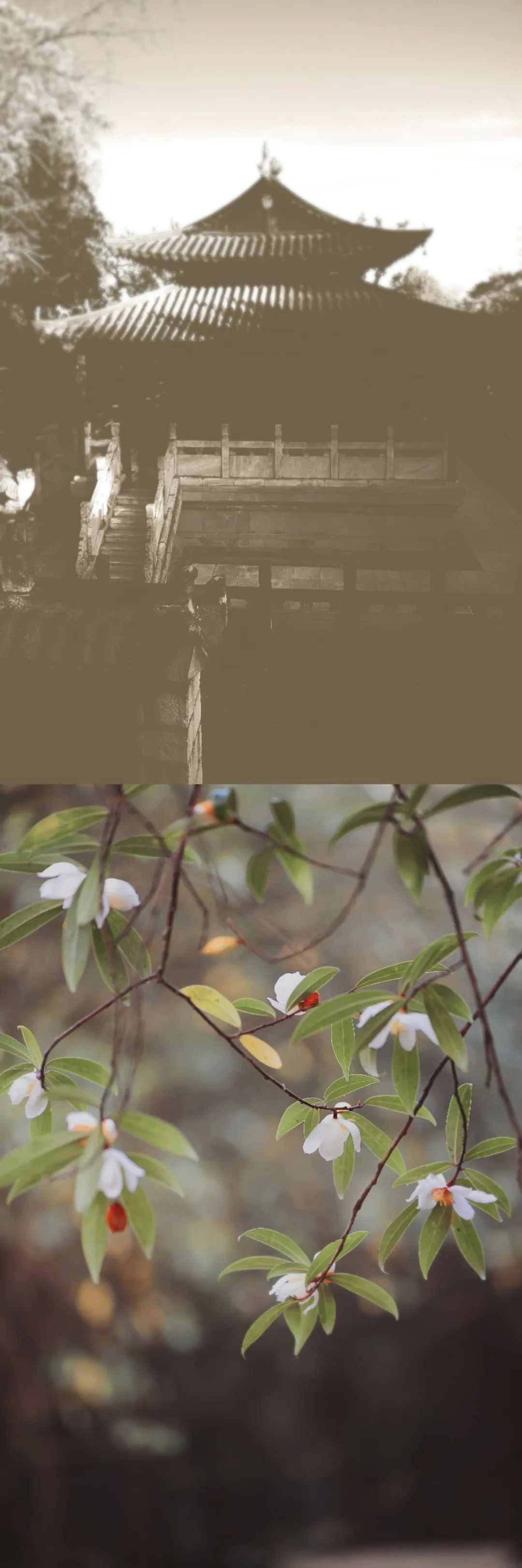 昆明市金殿名胜区